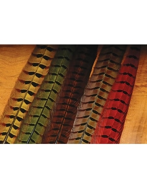 Hareline Dubbin Ringneck Pheasant Tail Feathers in Olive